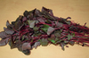 Three fall ill after consuming home-grown amaranthus leaves curry; hospitalized